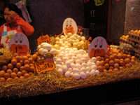 Eggs_barcelonaby_sheara Eggs_barcelonaby_sheara