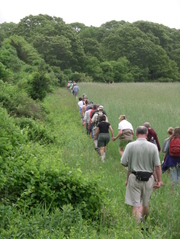 Early_on_in_the_marthas_vineyard_cr