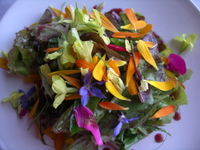 Salad_at_sooke_harbour_house_vancou