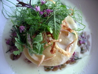 Smoked_tuna_ravioli