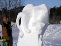 Wild feline, portrait in snow-Ellen Perlman