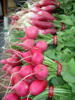 Radishes3, DC farmers market-Ellen Perlman