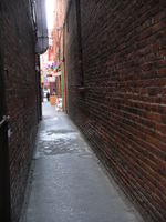 Fan Tan2-Ellen Perlman