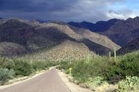 Tucson Mountains-Ellen Perlman
