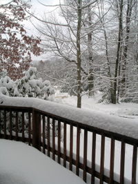 Snow in Kerhonkson, NY-Ellen Perlman