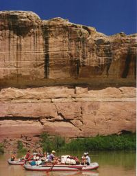 Floating in Canyonlands-Ellen Perlman