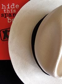 Hide this book-Ellen Perlman