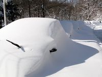 Parked cars, DC-Ellen Perlman