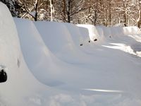 Parked cars3-Ellen Perlman, boldlygosolo