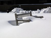 Bench-Ellen Perlman, Boldlygosolo