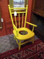 IMG_1006-Yellow potty chair, PA-Ellen Perlman