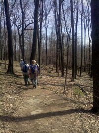 Sky Meadows, Virginia-Ellen Perlman