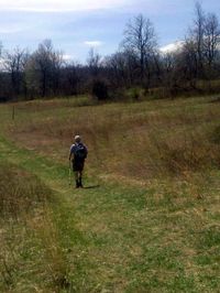 Ray, Sky Meadows, Virginia-Ellen Perlman
