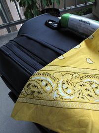 Suitcase, bandana-Ellen Perlman