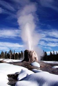 Lonestar-geyser, Yellowstone