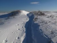 Back of Inn by the Sea, Cape Elizabeth, Maine