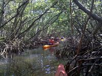 IMG_20120523_111446-kayaks in distance, Ellen Perlman, boldlygosolo