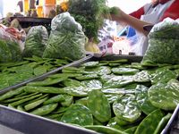 Corona Market, Guadalajara, Mexico, boldlygosolo