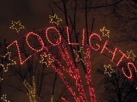 Zoo lights 2012, National Zoo, DC, boldlygosolo