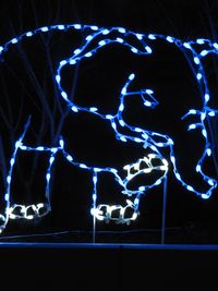 Baby elephant,  Zoo Lights, DC, boldlygosolo