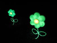Flowers, Zoo Lights, DC, boldlygosolo