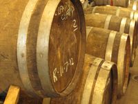 Basignani wine cellar, MD, boldlygosolo